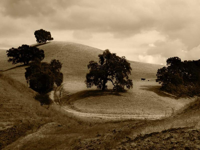 sudoku hint feature screenshot 4